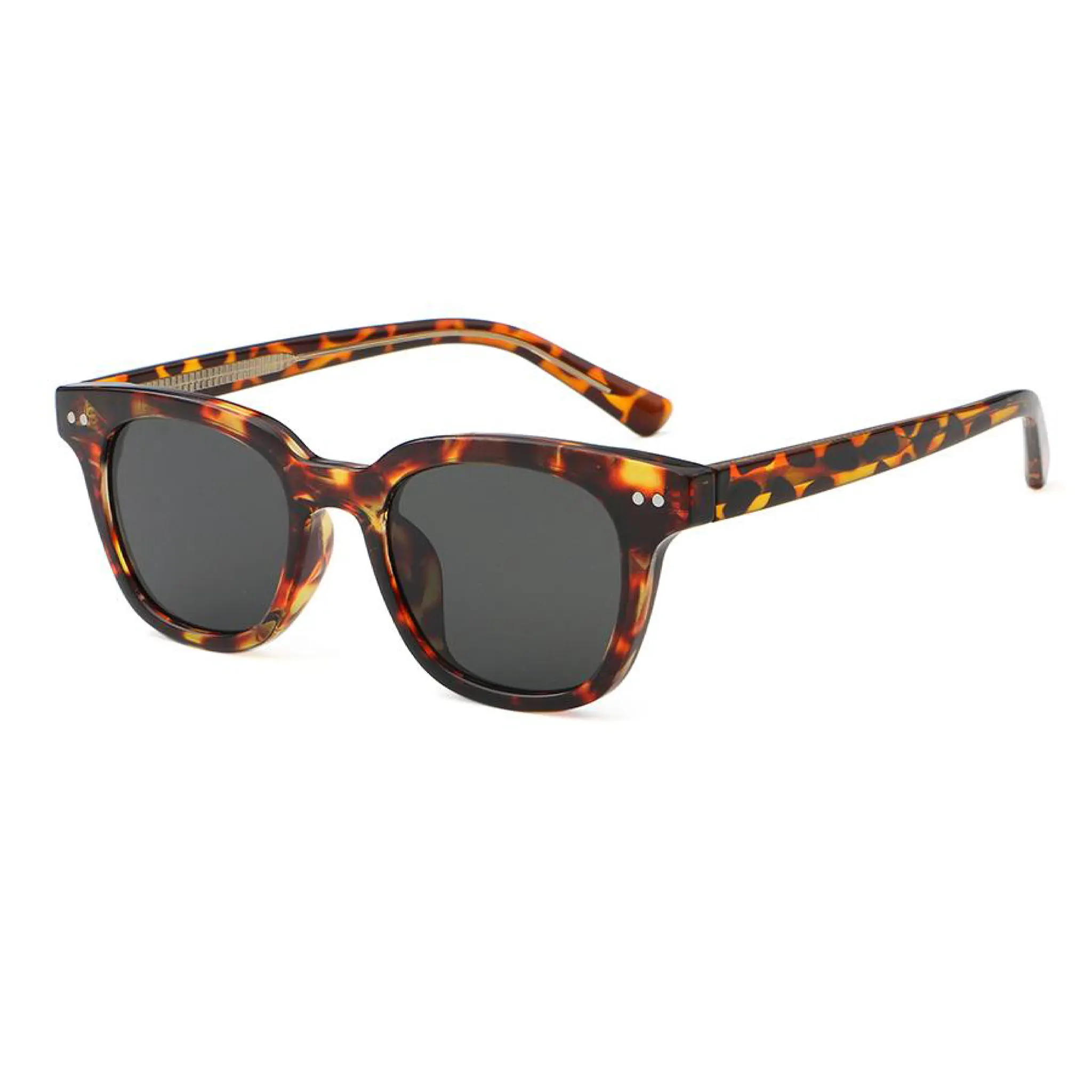 Round PC JU-6229 Glasses Manufacturer - Joyiris