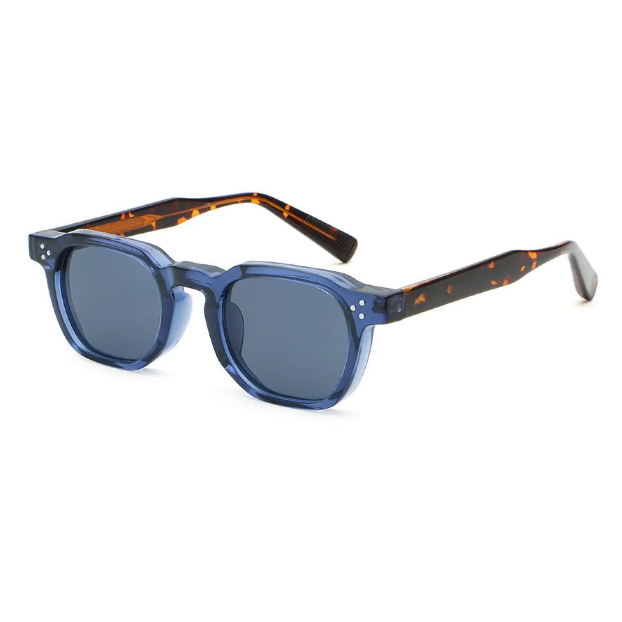 Geometric PC JU-6239 Glasses Manufacturer - Joyiris